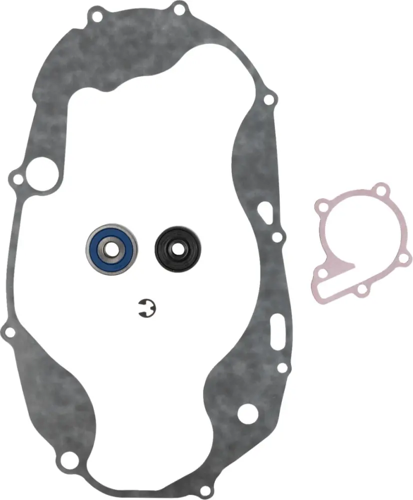 PROX - REPAIR KT WTRPMP BANSHEE - 09347008