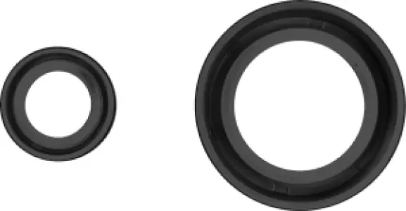 PROX - CRANKSEAL SET CR250/500 - 09350292
