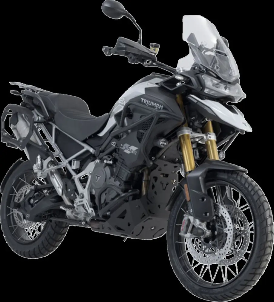 SW-MOTECH - PRO SIDE CARRIER - 15101153