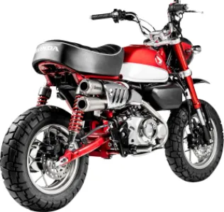 AKRAPOVIC - MUFFLER SS MONKEY - 18114300