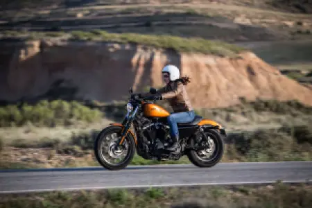 MICHELIN - SCHR21 R 160/60R17 69V TL - 03080056