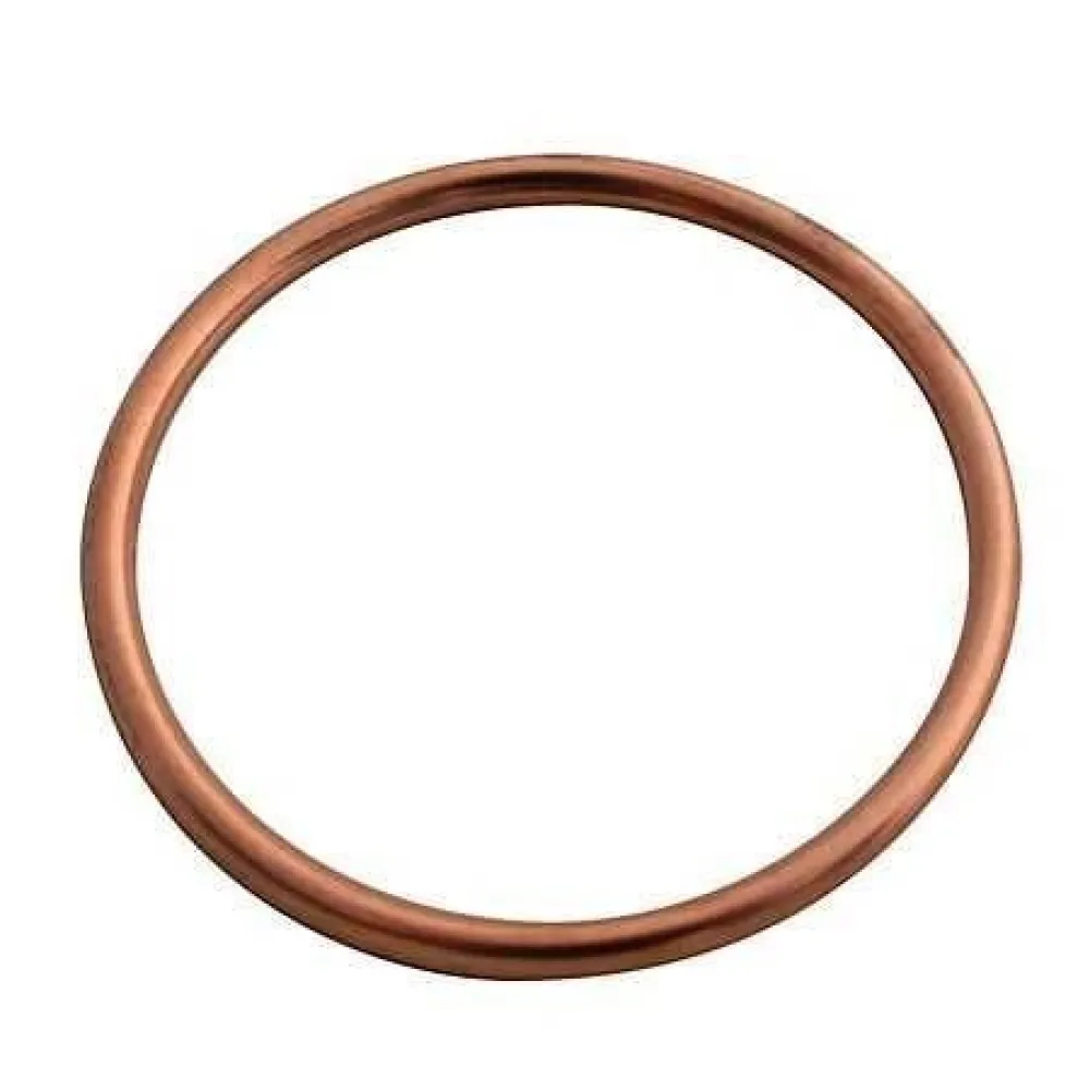 AKRAPOVIC - GRAPHITE GASKET - 18602196