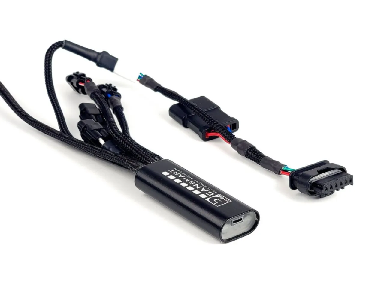 DENALI - CANSMART GEN II BMW R1300GS 24 - 20500539