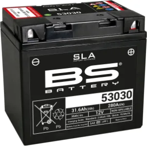 BS BATTERY - BATTERY BS 53030 SLA - 21130617