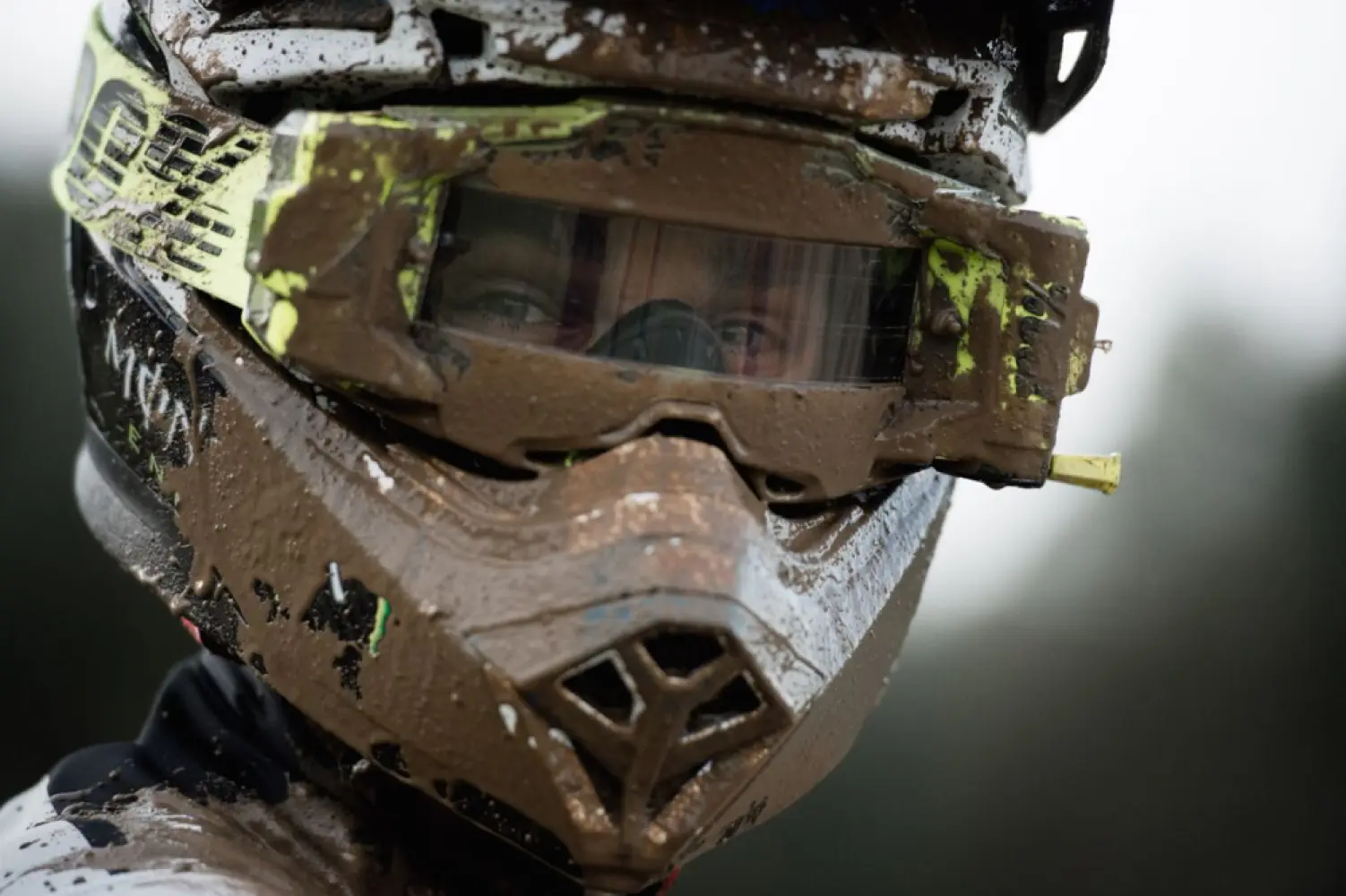 100% - SHIELD ARMEGA F - 26020889