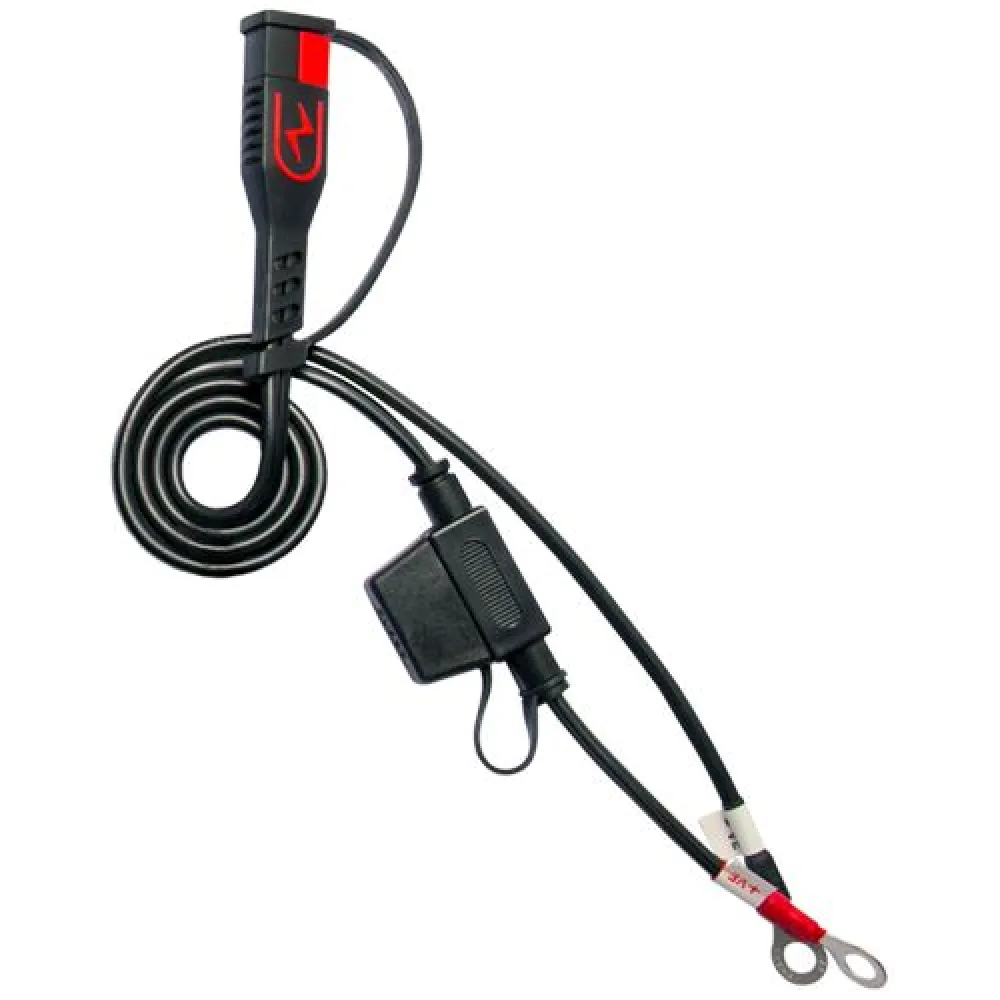 BS BATTERY - CHARGER BS30 12V 3A - UK PLUG - 38070706