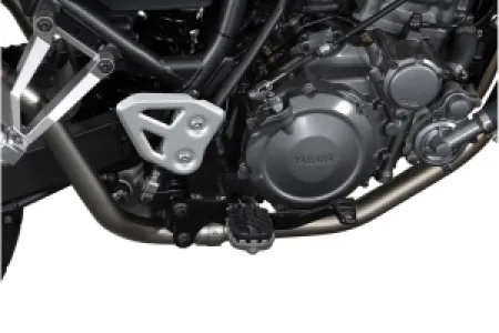SW-MOTECH - FOOTREST KIT ION - 16202022