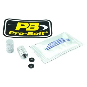 PRO BOLT - CAP VALVE STEM SILVER - 03610089