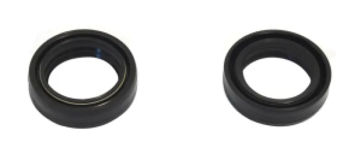ATHENA - FORK SEAL RSA 33X46X11 - 04070206