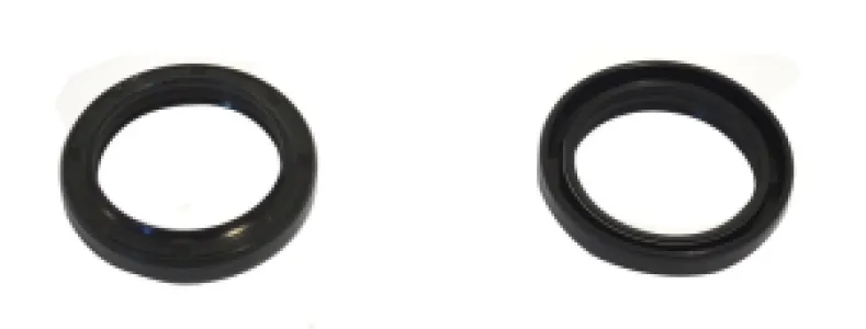 ATHENA - FORK SEAL 41.7X55X8/10 - 04070257
