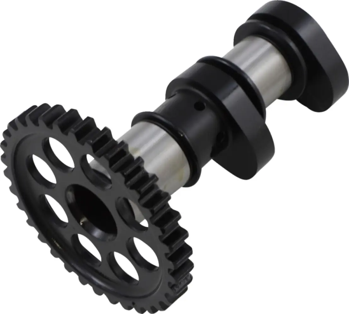 HOT CAMS - CAMSHAFT - 09251188