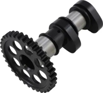 HOT CAMS - CAMSHAFT - 09251188