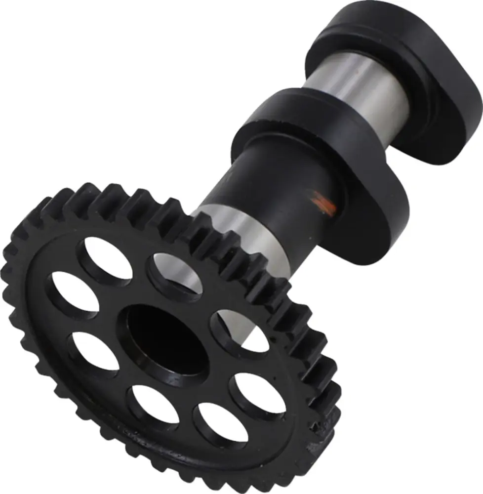 HOT CAMS - CAMSHAFT - 09251189