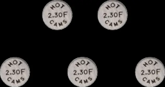 HOT CAMS - VALVE SHIM 5PK 10.0X2.30 - 09261283