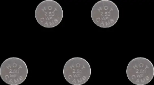 HOT CAMS - VALVE SHIM 5PK 10.0X2.50 - 09261287