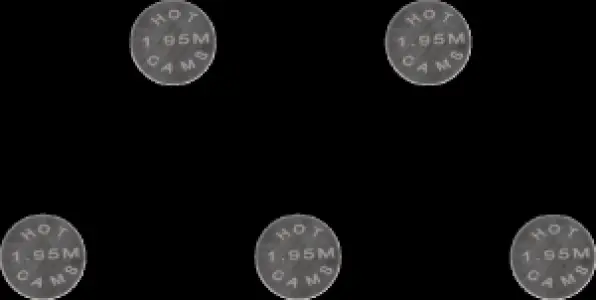 HOT CAMS - VALVE SHIM 5PK 13X1.95 - 09262319