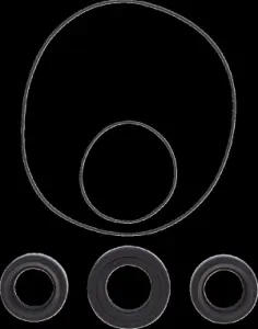 MOOSE OFFROAD HARD-PARTS - DIFFERENTIAL SEAL ONLY KIT FRO - 09351294