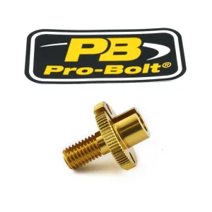 PRO BOLT - CABLE ADJUSTER M10 GOLD - 06170396