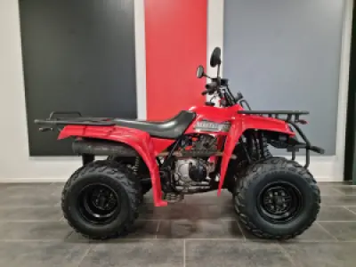 Yamaha Beartracker 250 (Auto)