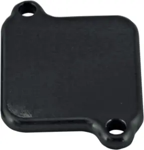 PSR - BLOCK OFF PLATE BLK - 09300083