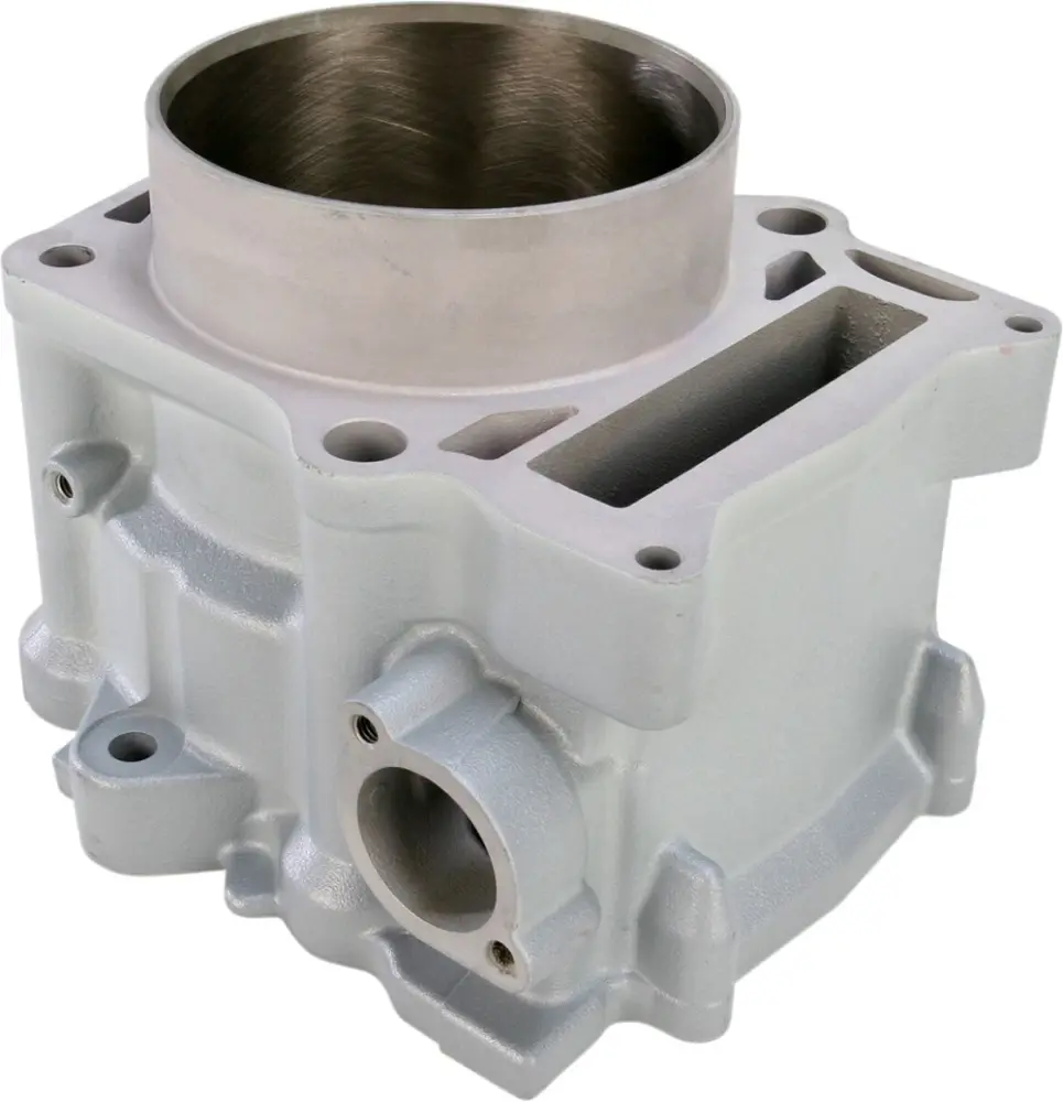 CYLINDER WORKS - CYLINDER STD RPTR 700 - 09310395