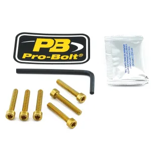 PRO BOLT - BOLT KIT FUEL CAP GOLD - 07040027