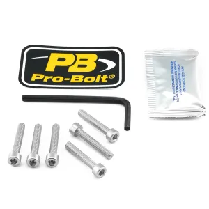 PRO BOLT - BOLT KIT FUEL CAP SILVER - 07040029