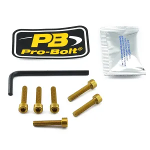 PRO BOLT - BOLT KIT FUEL CAP GOLD - 07040032