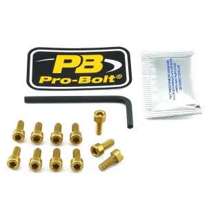 PRO BOLT - BOLT KIT FUEL CAP GOLD - 07040037