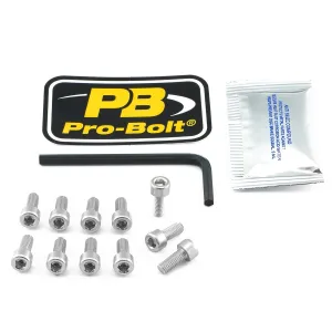PRO BOLT - BOLT KIT FUEL CAP SILVER - 07040039
