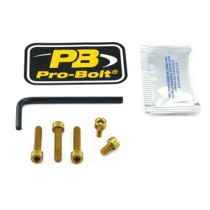 PRO BOLT - BOLT KIT FUEL CAP GOLD - 07040042