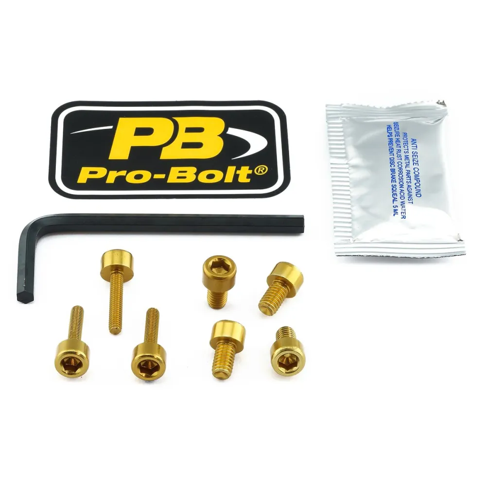 PRO BOLT - BOLT KIT FUEL CAP GOLD - 07040052