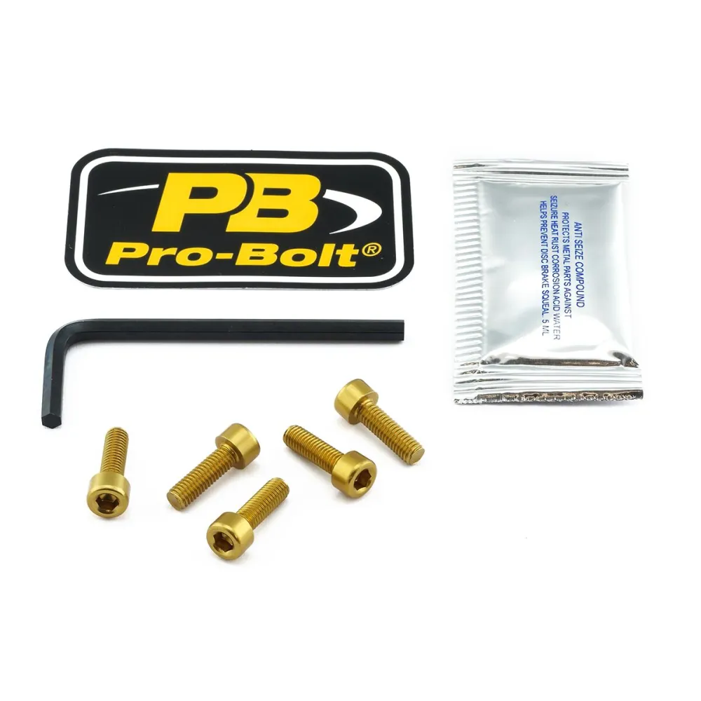 PRO BOLT - BOLT KIT FUEL CAP GOLD - 07040067