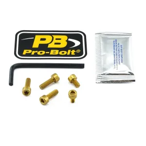 PRO BOLT - BOLT KIT FUEL CAP GOLD - 07040072