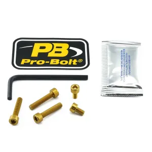 PRO BOLT - BOLT KIT FUEL CAP GOLD - 07040077