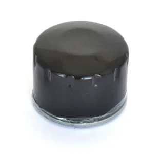 ATHENA - OIL FILTER BMW - 07120382