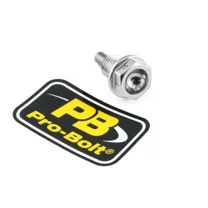 PRO BOLT - BOLT DRAIN 12X1.5X15 SILVER - 09200210