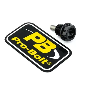 PRO BOLT - BOLT DRAIN 14X1.5X15 BLACK - 09200212