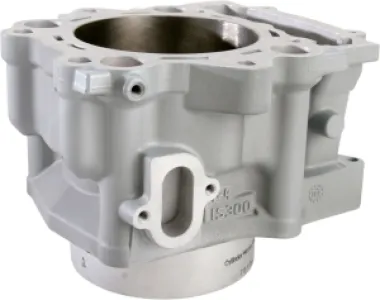 CYLINDER WORKS - CYLINDER STD RHINO 700 - 09310397