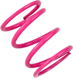 EPI - SPRING CLUTCH PRIMARY POL - 11400033