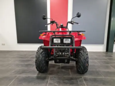 Yamaha Beartracker 250 (Auto)