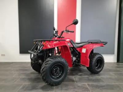 Yamaha Beartracker 250 (Auto)