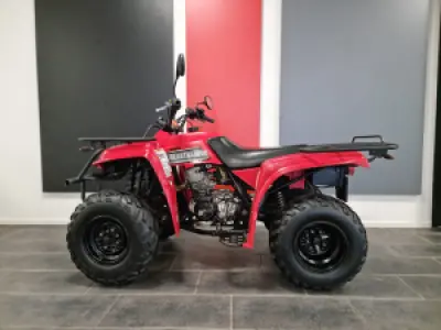Yamaha Beartracker 250 (Auto)