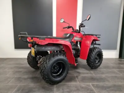 Yamaha Beartracker 250 (Auto)