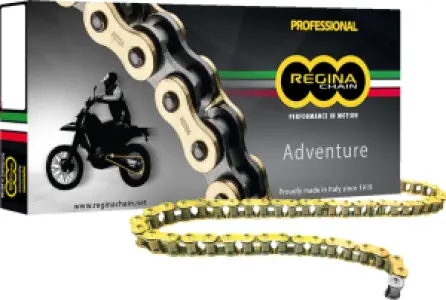 REGINA - CHAIN 520ZRE GB 110C+RS+RH - 12240121
