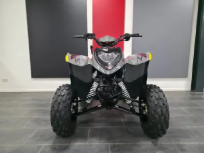 Polaris Pheonix 200