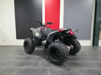 Polaris Pheonix 200