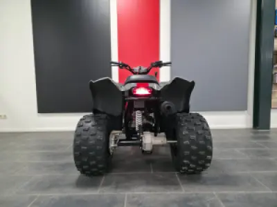 Polaris Pheonix 200