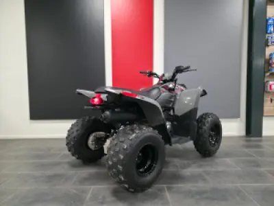 Polaris Pheonix 200