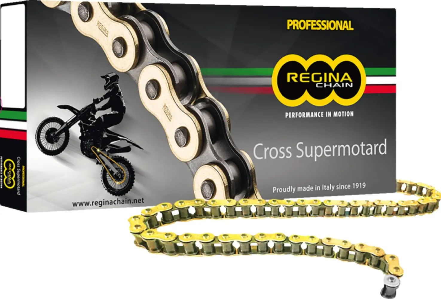 REGINA - CHAIN 520RH2 GB 110C - 12200098